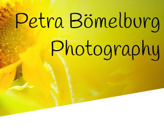 PBF Logo